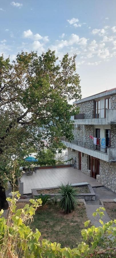 Vesna's Dream Budva