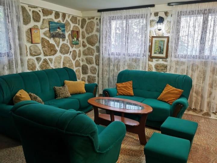 Vesna's Dream Apartment Budva