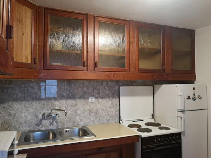 Apartment Vesna's Dream