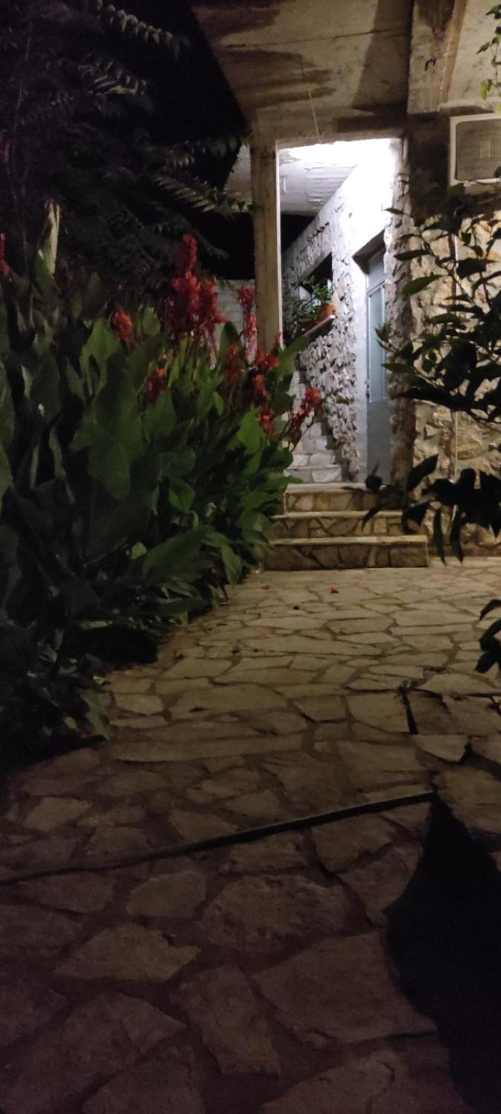 Apartment Vesna's Dream Budva